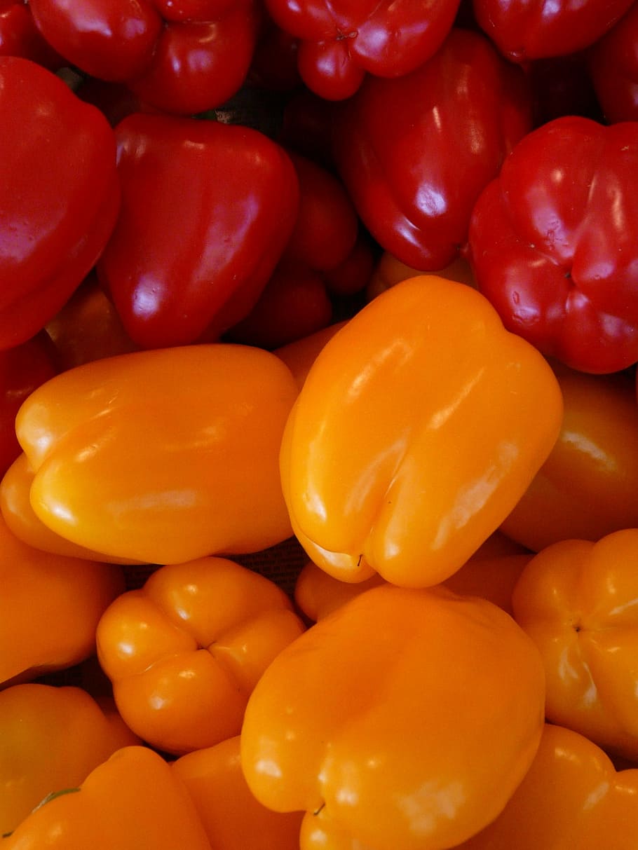 paprika, orange, red, vegetables, food, vitamins, healthy, eat HD wallpaper