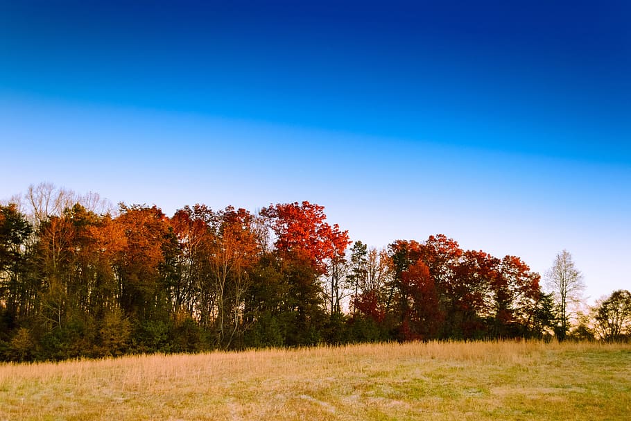 sky, landscape, autumn, fall, sunrise, outdoor, scenery, scenic HD wallpaper