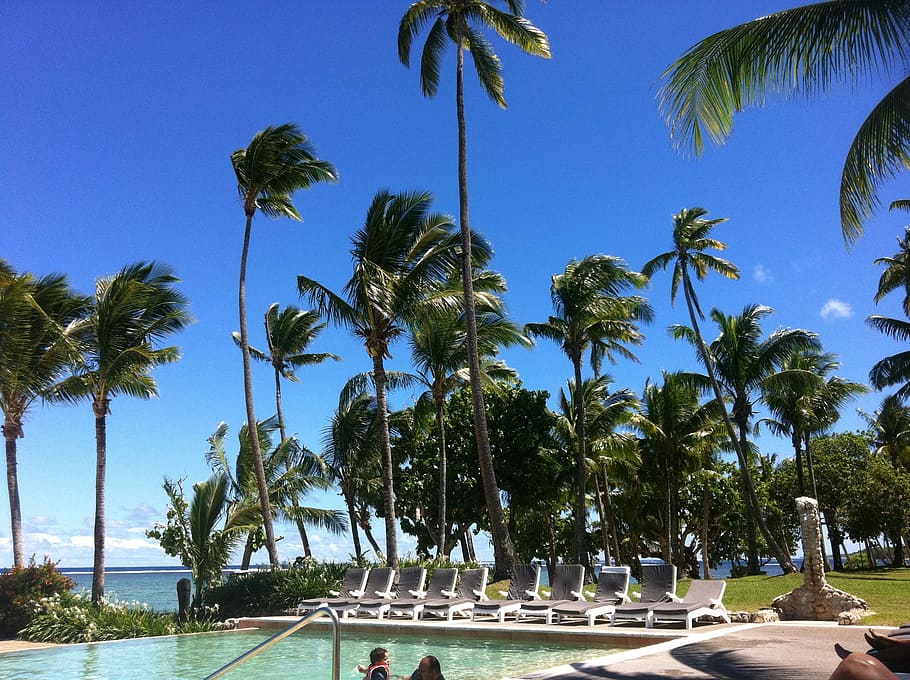 palm trees near swimming pool during daytime, Fiji, Resort HD wallpaper