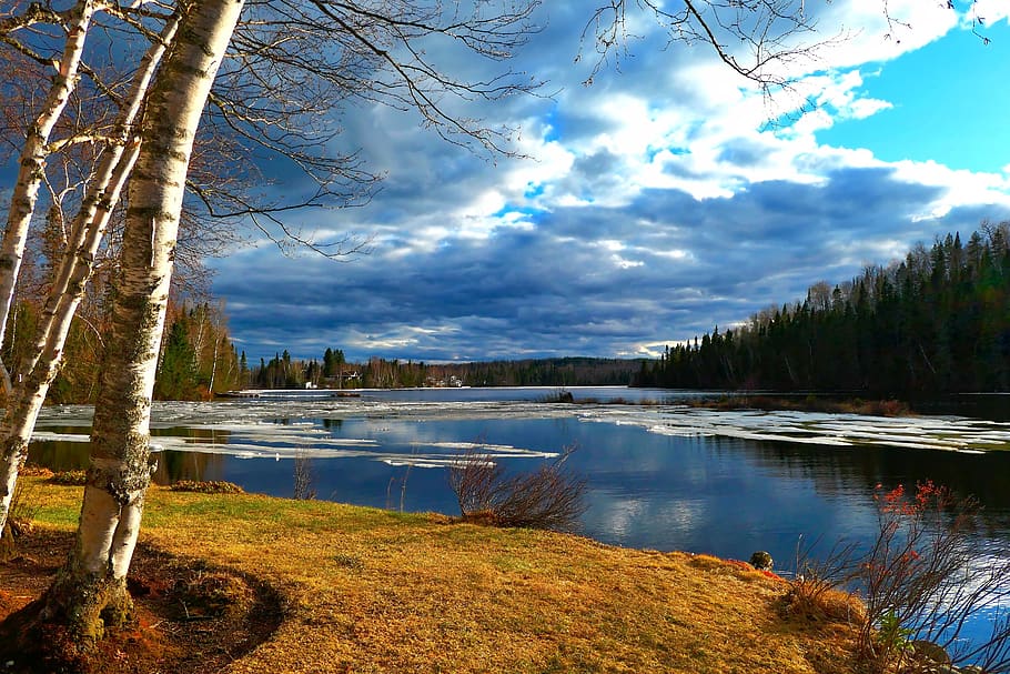 landscape, nature, water, clouds, trees, birch, ice, spring HD wallpaper