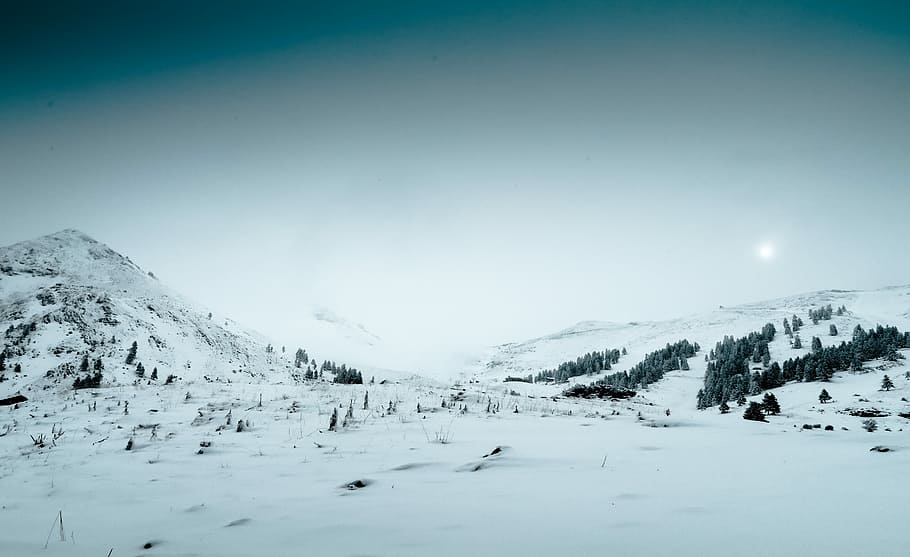field covered in snow, snowfield on mountain at daytime, winter HD wallpaper