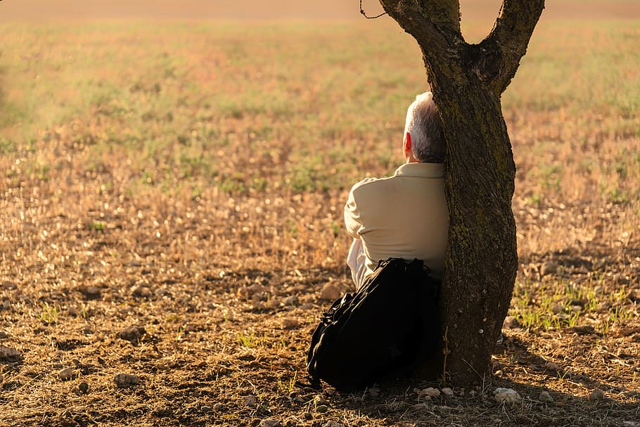 man leaning on tree on grass field, soledad, only, landscape HD wallpaper