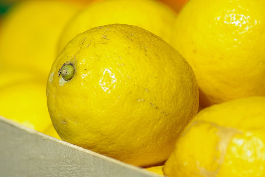 lemons, citrus, vitamins, food, food and drink, healthy eating HD wallpaper