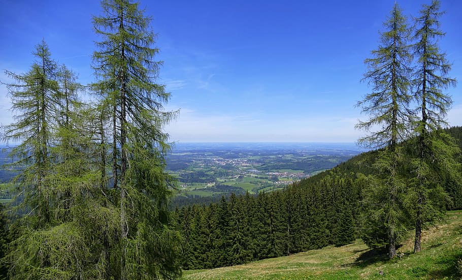 nature, wood, tree, landscape, sky, mountain, tegernsee, view HD wallpaper