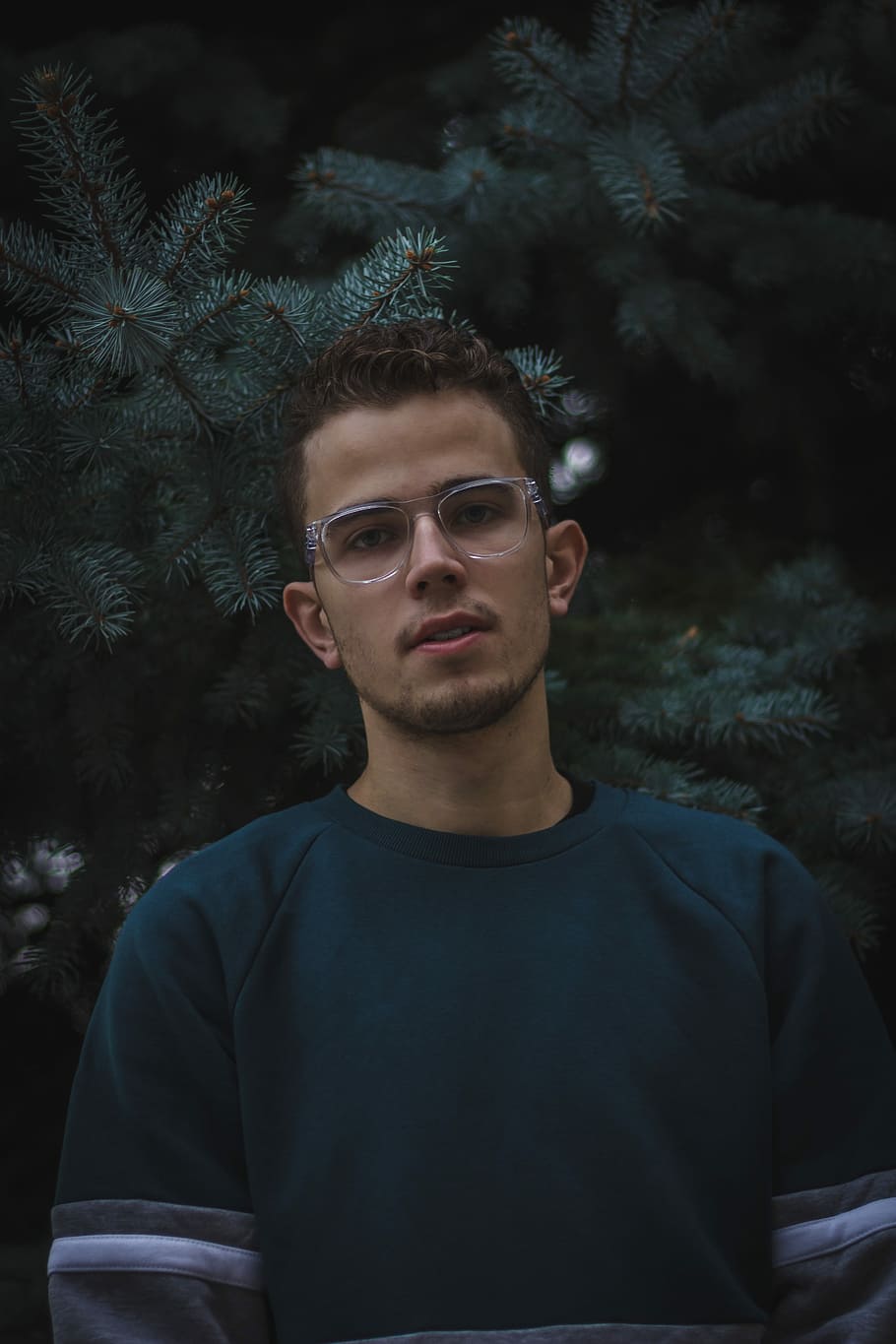 man standing near green Christmas tree, portrait photography of man wearing sweater and eyeglasses in front of tree HD wallpaper