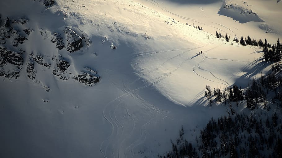 aerial photography of pine trees during winter season, aerial photography of snow capped mountain during daytime HD wallpaper
