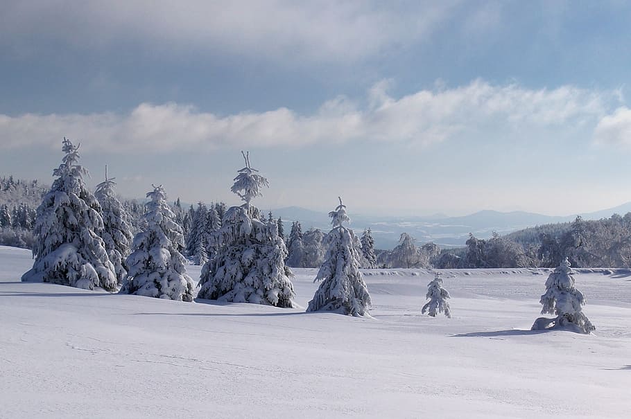 winter, snow, panorama, forest, trees, frost, mountains, nature HD wallpaper