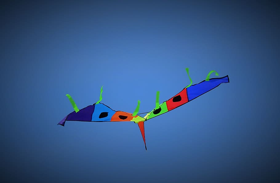kite, summer, sky, fun, multi colored, blue, flying, kite - toy HD wallpaper