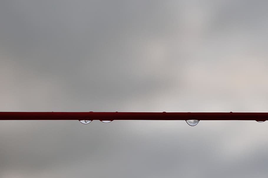 drops, link, red, nature, no people, wet, connection, copy space HD wallpaper