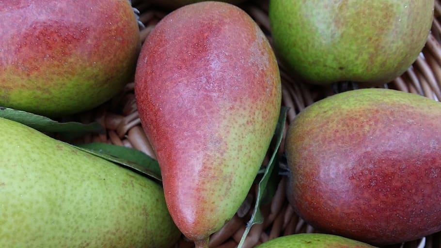 pear, fruit, closeup, healthy eating, food, food and drink HD wallpaper