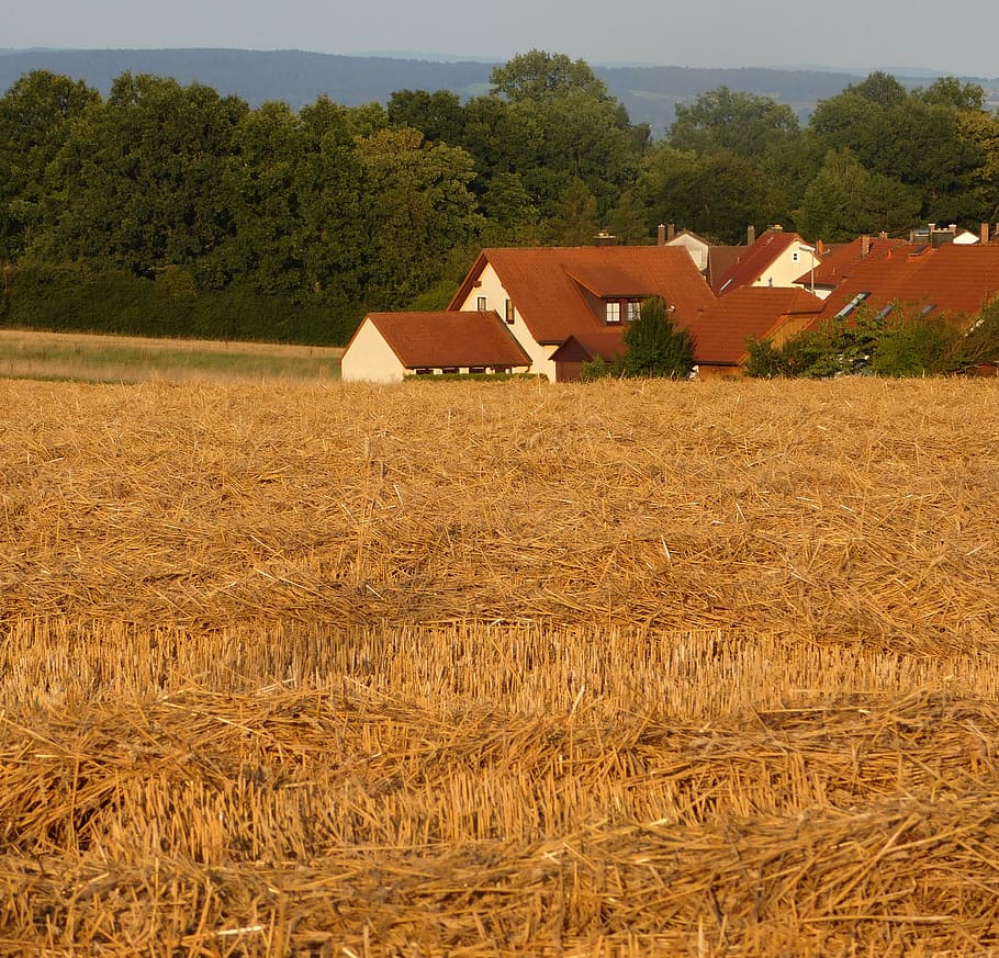 Field, Arable, Landscape, homes, upper franconia, bavaria, germany HD wallpaper