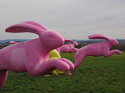 rabbit, springhares, artwork, pink, seat and flitz rabbits HD wallpaper