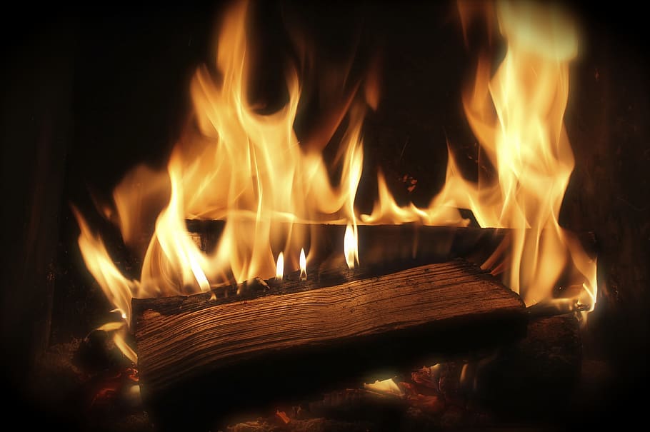 burning wood, fire, wood fire, combustion, heat, wood in the process of burning HD wallpaper