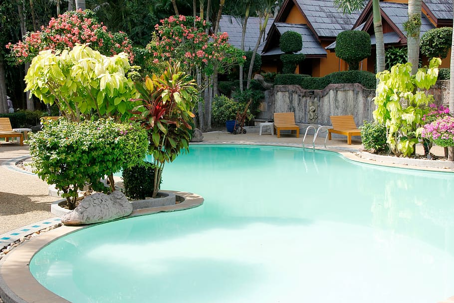 water, reflection, pool, holiday, swim, palm trees, hotel, summer HD wallpaper