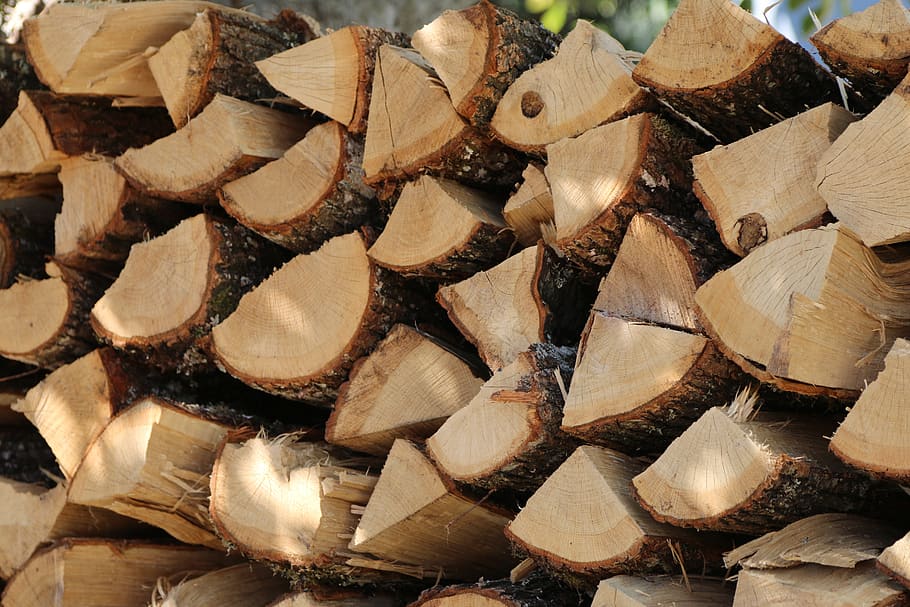 wood, logs, nature, full frame, timber, backgrounds, firewood HD wallpaper