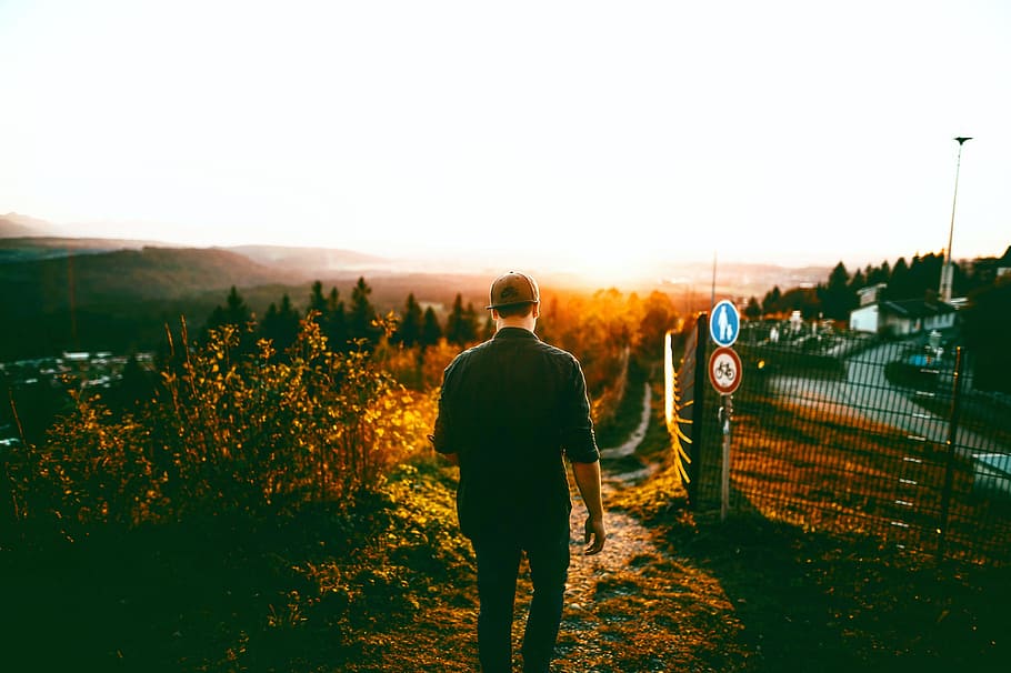 light, city, road, dawn, back view, dusk, environment, fall, field HD wallpaper