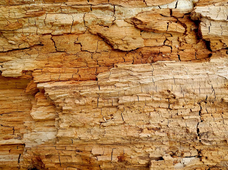 texture, wood, old, dead, background, textured, backgrounds HD wallpaper