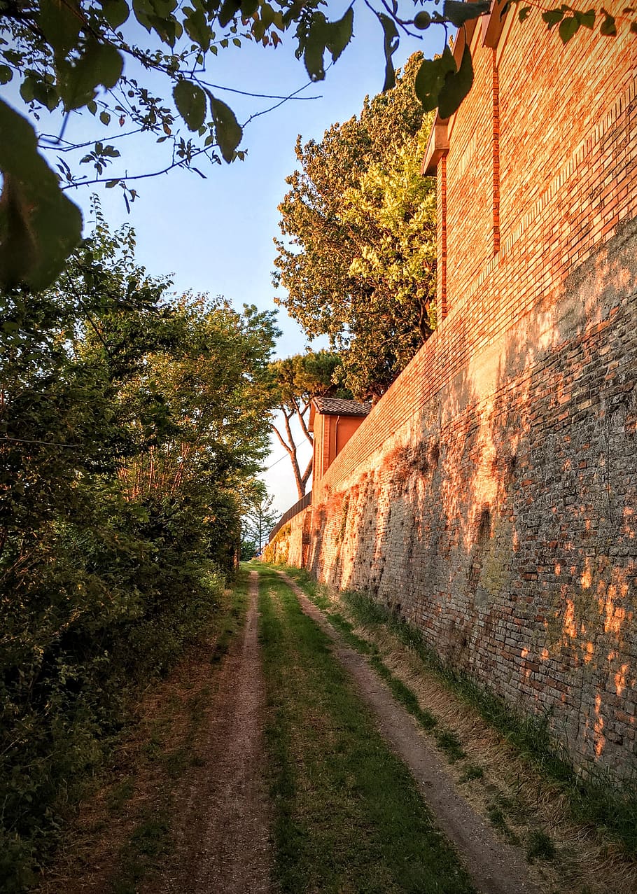 wall, building, green, grass, path, street, trees, plant, direction HD wallpaper