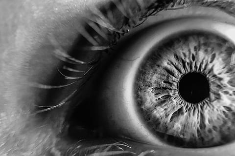 grayscale photo of human eye, blur, close-up, eye lashes, iris HD wallpaper