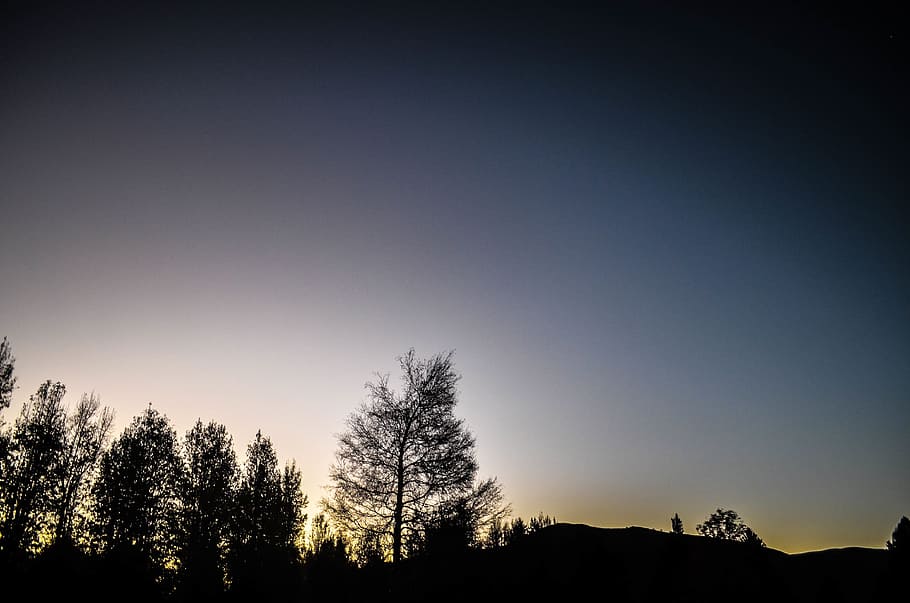 nature, landscape, forests, trees, sky, clouds, horizon, gradient HD wallpaper