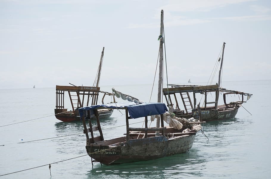 dhow boats, tanzania, africa, nautical vessel, water, transportation