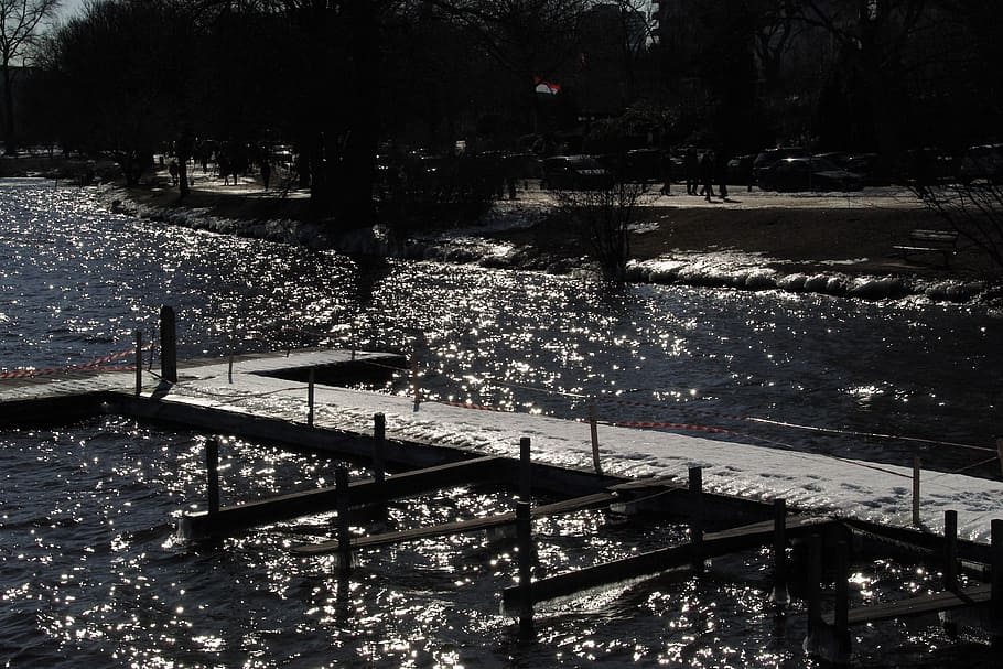 hamburg, outer alster, light reflections, back light, tree HD wallpaper