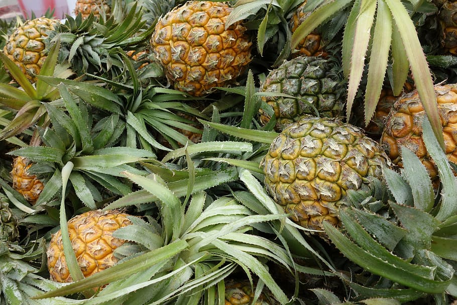 green, pineapple, fresh, food, food and drink, healthy eating HD wallpaper