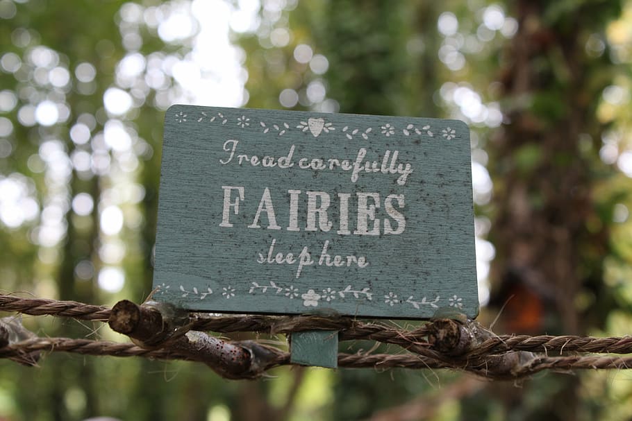 Fairies labeled signboard, words, rustik, tread carefully fairies sleep here HD wallpaper