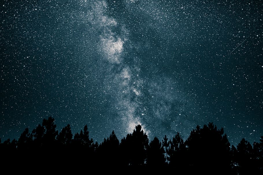 milky way at night, forest silhouette across starry sky during nighttime
