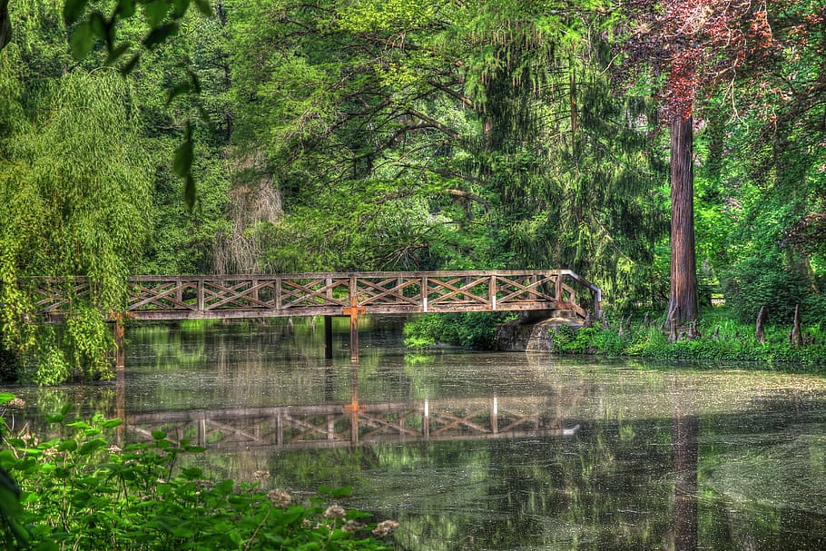 lake, bridge, forest, reflection, trees, woods, foliage, pond HD wallpaper