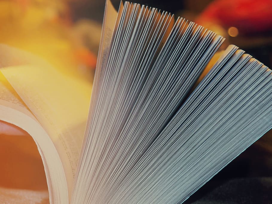 close-up photography of book page opening, shallow focus photography of open book HD wallpaper
