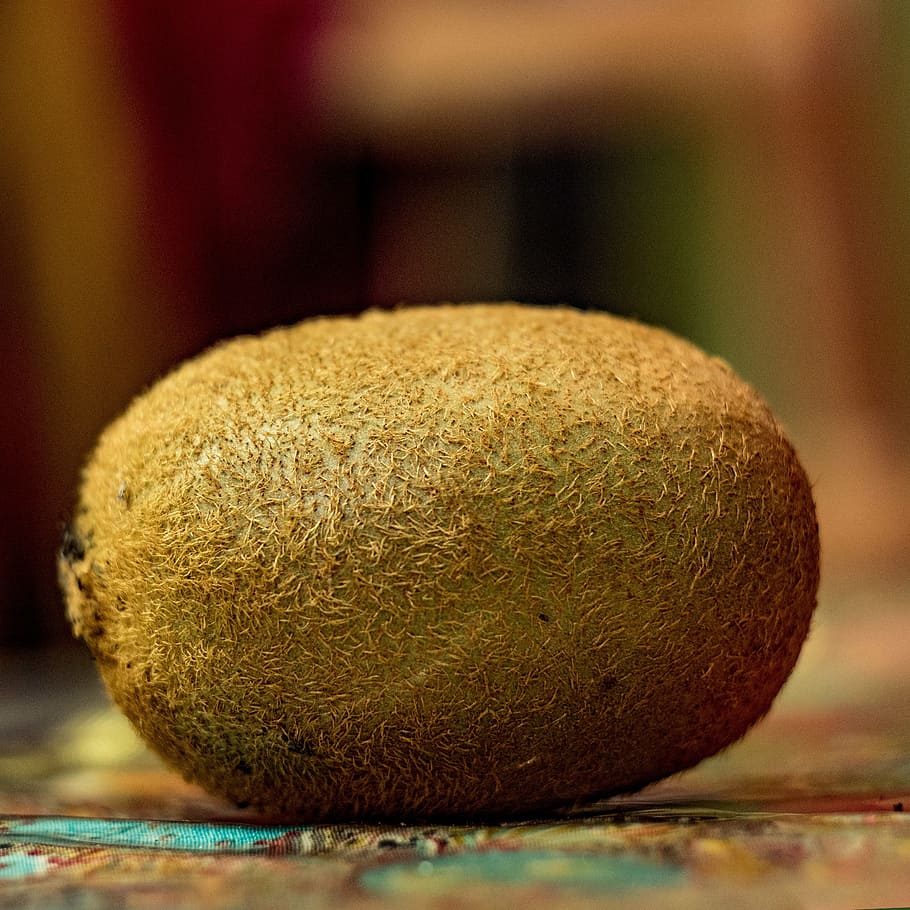 kiwi, fruit, kiwi fruit, fresh, healthy, food, vitamin, green HD wallpaper