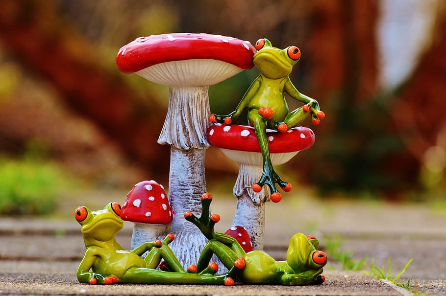 frogs, mushrooms, figures, funny, cute, animals, sweet, fly agaric HD wallpaper