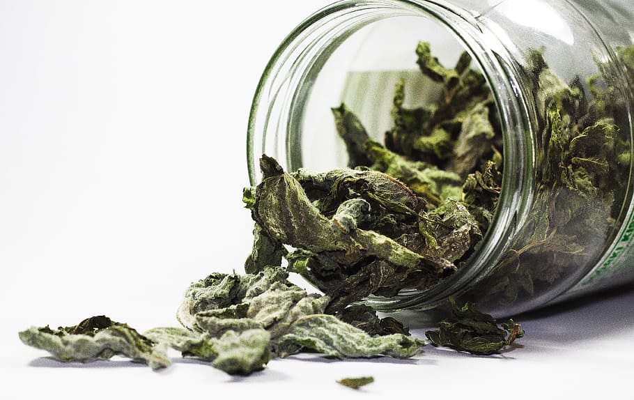 green kush spilled from clear glass jar, spices, mint, health HD wallpaper