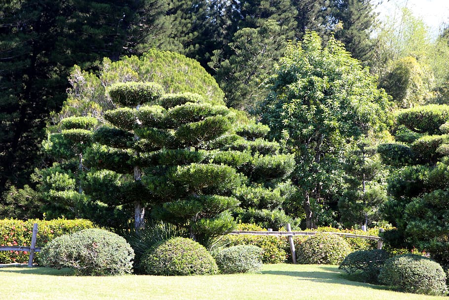 park, design, landscape, green, summer, trees, haircut, lawn HD wallpaper