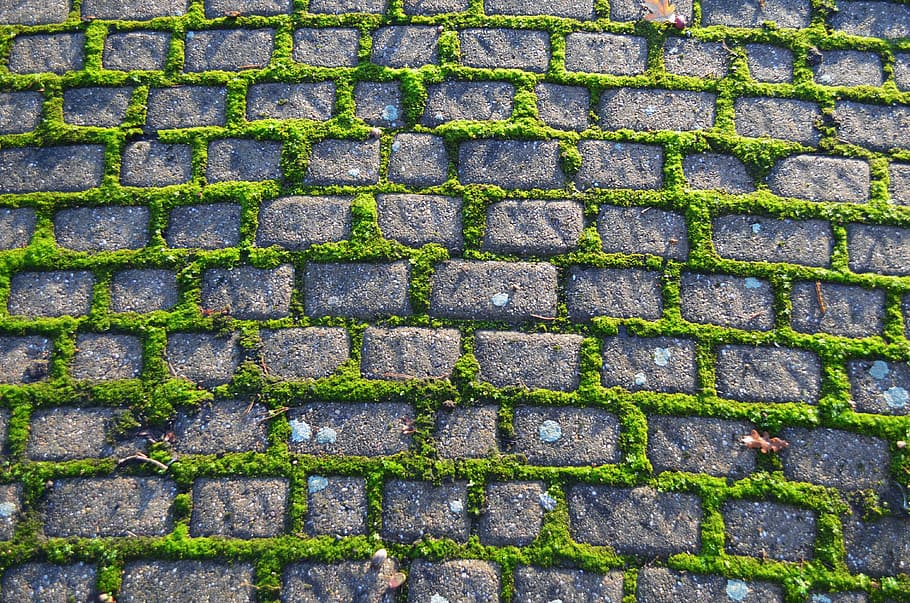 gray concrete block with moss, Old, Pavement, Footpath, Stone, HD wallpaper