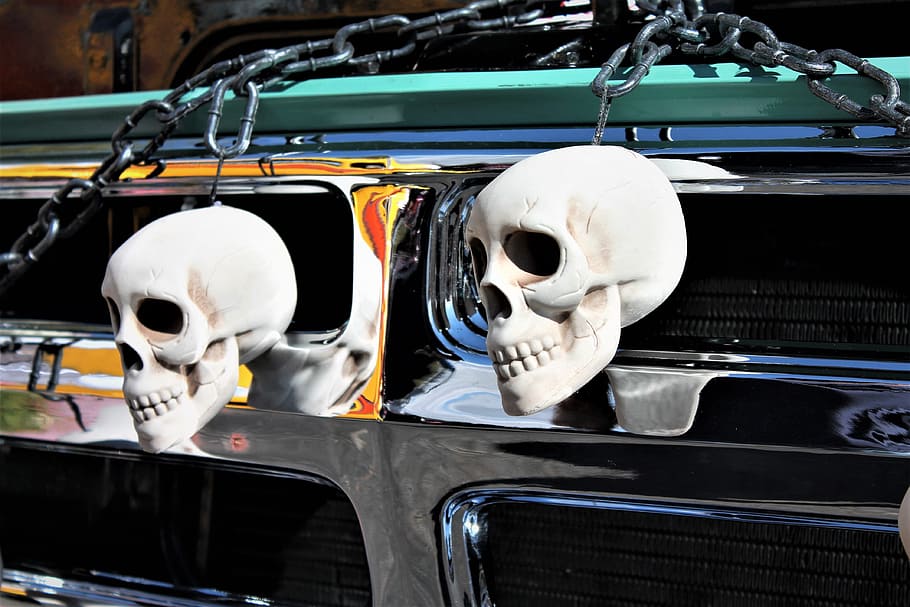 Skulls, Halloween, Trunk, Treat, trunk or treat, trick or treat, HD wallpaper