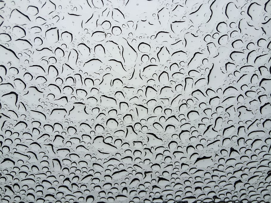 rain, window, raindrops, glass, surface, transparent, droplet HD wallpaper