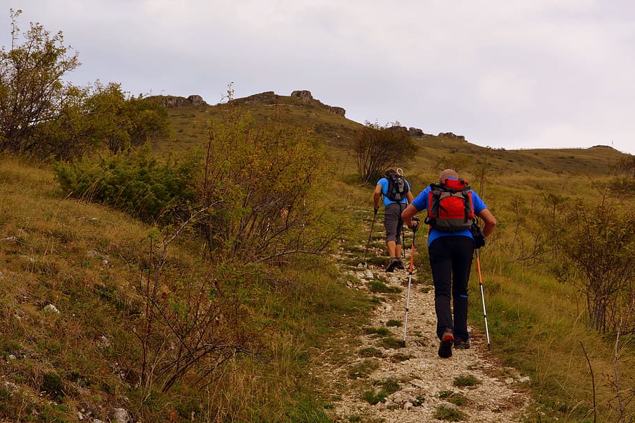 hiking, trail, walk, mountain, backpack, trekking, activity HD wallpaper