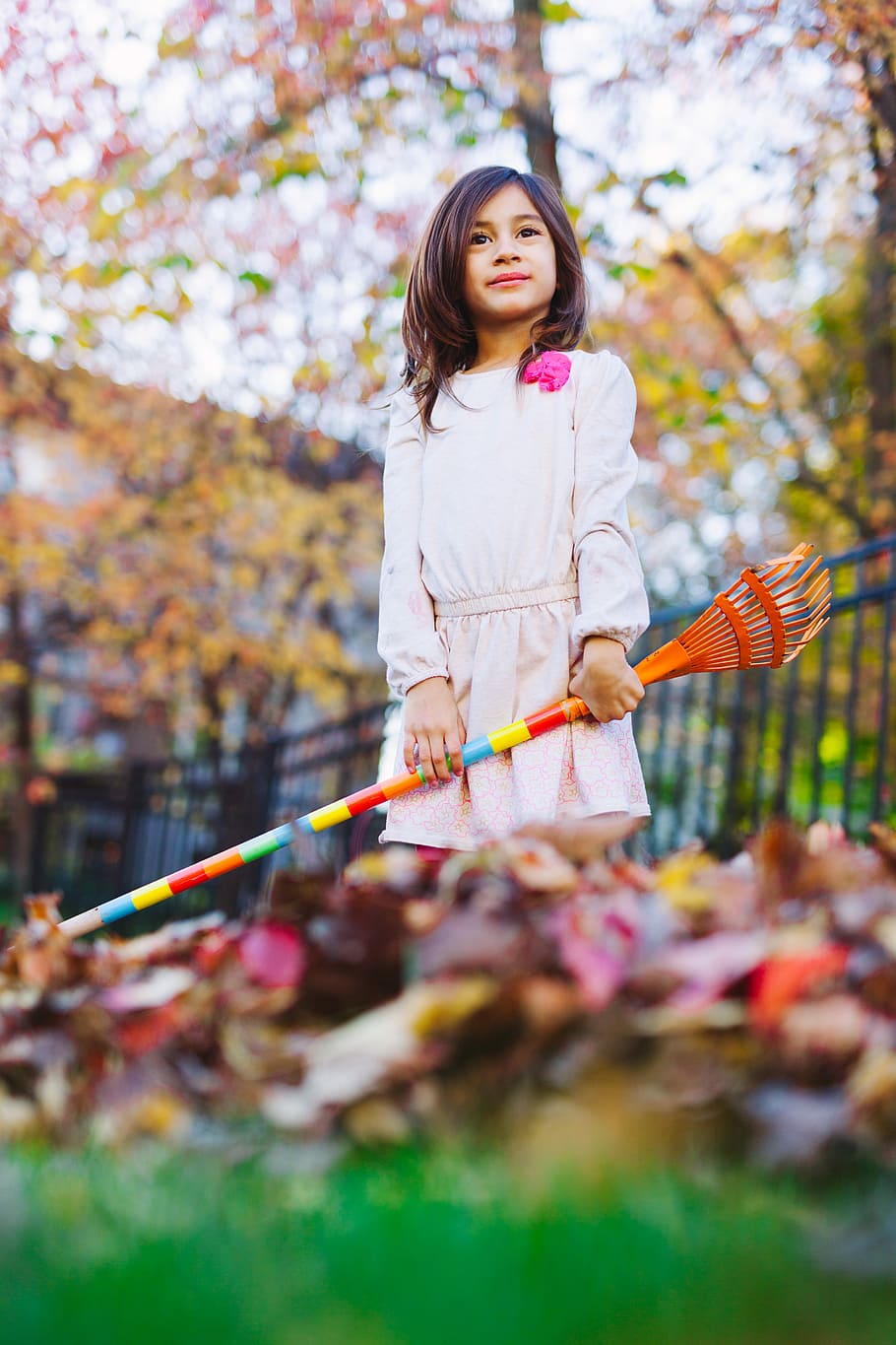 tilt shift photography of girl holding brown wooden rake, girl holding a rake selective focus photography, HD wallpaper