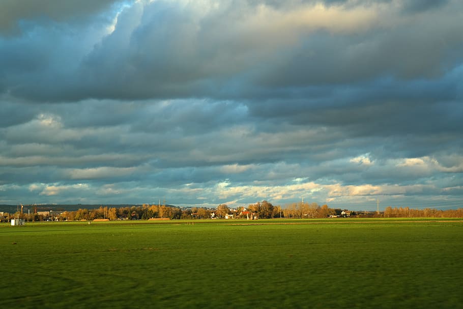 Landscape, Meadow, light, autumn light, grass, green, nature HD wallpaper