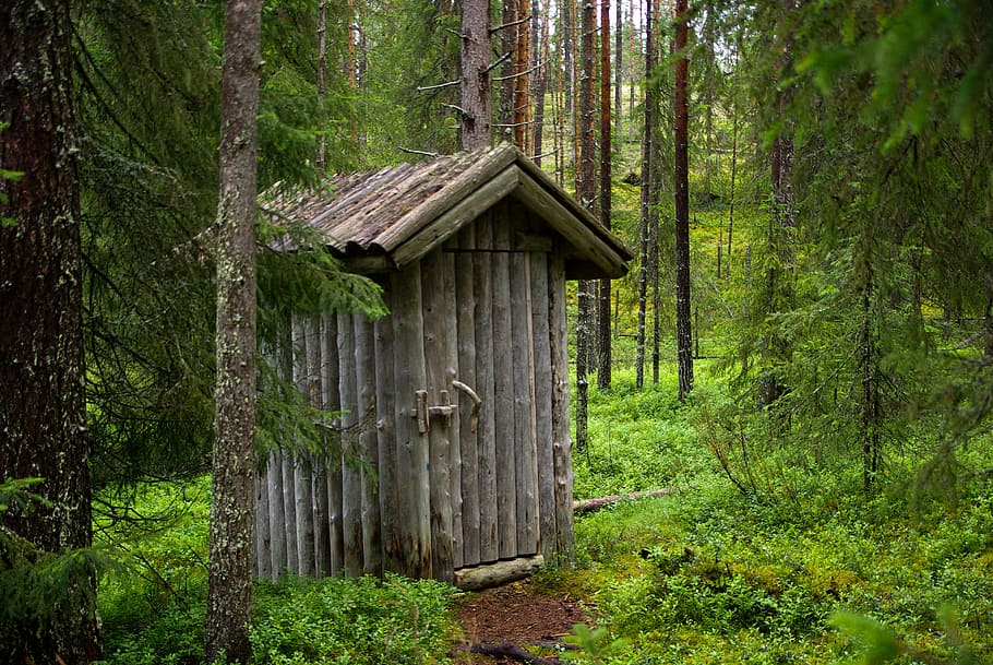brown wooden comfort room in the middle of forest, Finland, Logs