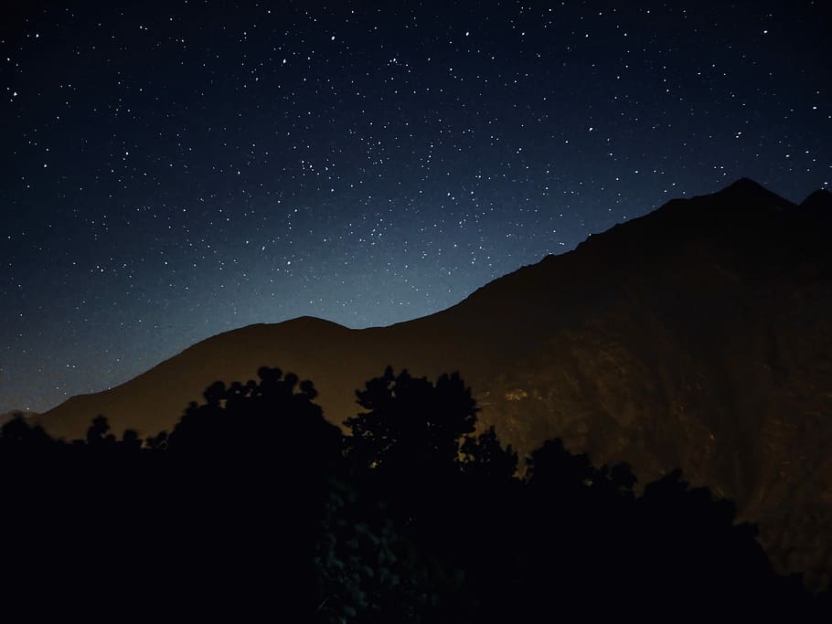 silhouette of trees near mountains, silhouette of trees overlooking mountain during nighttime HD wallpaper