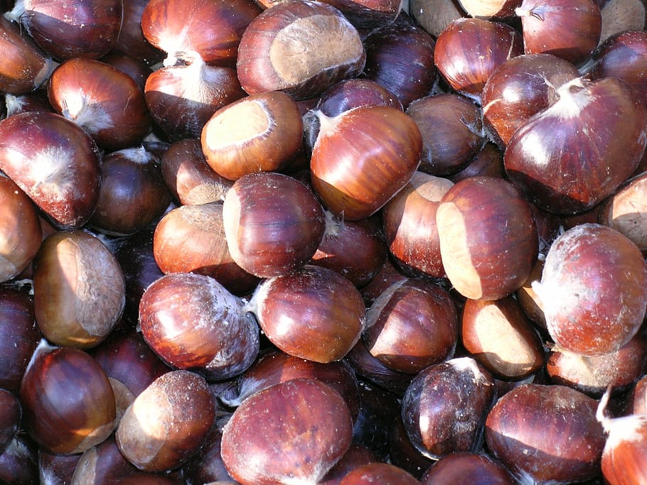 chestnuts, autumn, fruit, food, healthy eating, food and drink HD wallpaper