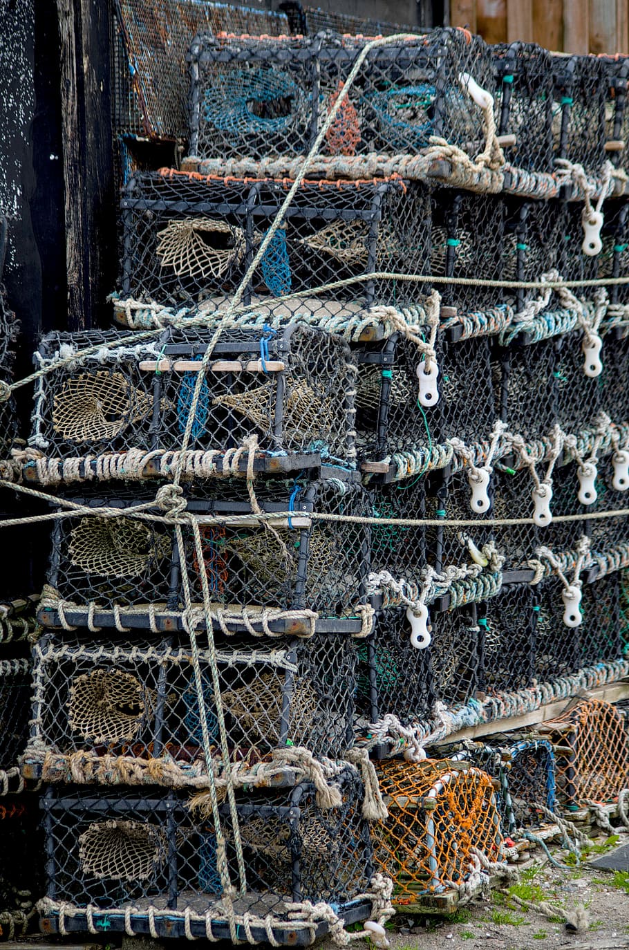 fish traps, fishing, fishing net, sea, port, north sea, scotland, HD wallpaper