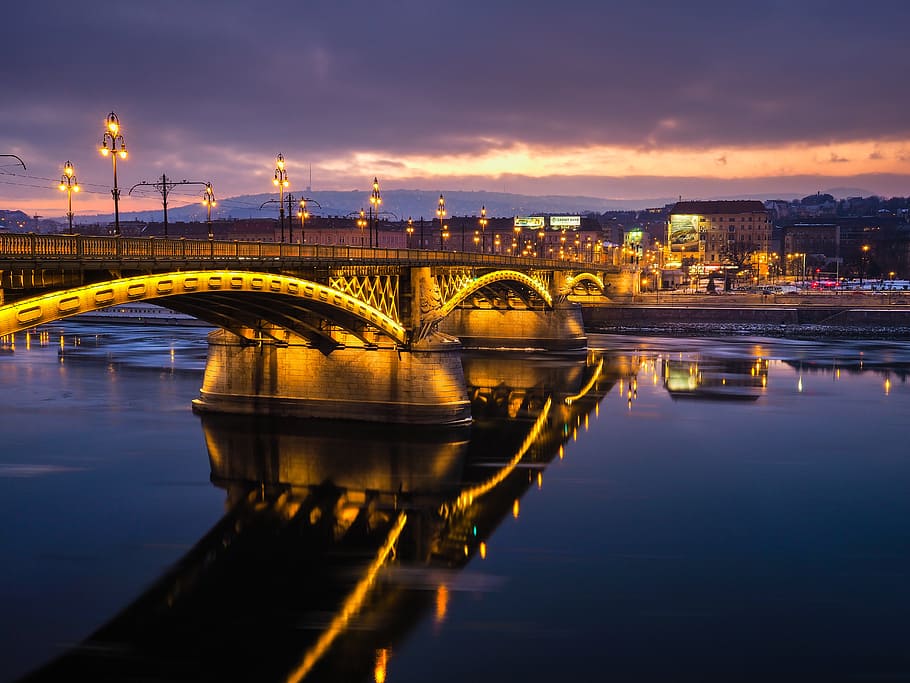 lighted concrete bridge near buildings, bridge over water near cityscape HD wallpaper