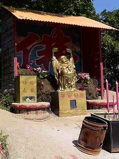 temple, buddah, statue, gold, china, fengcheng, house of prayer HD wallpaper