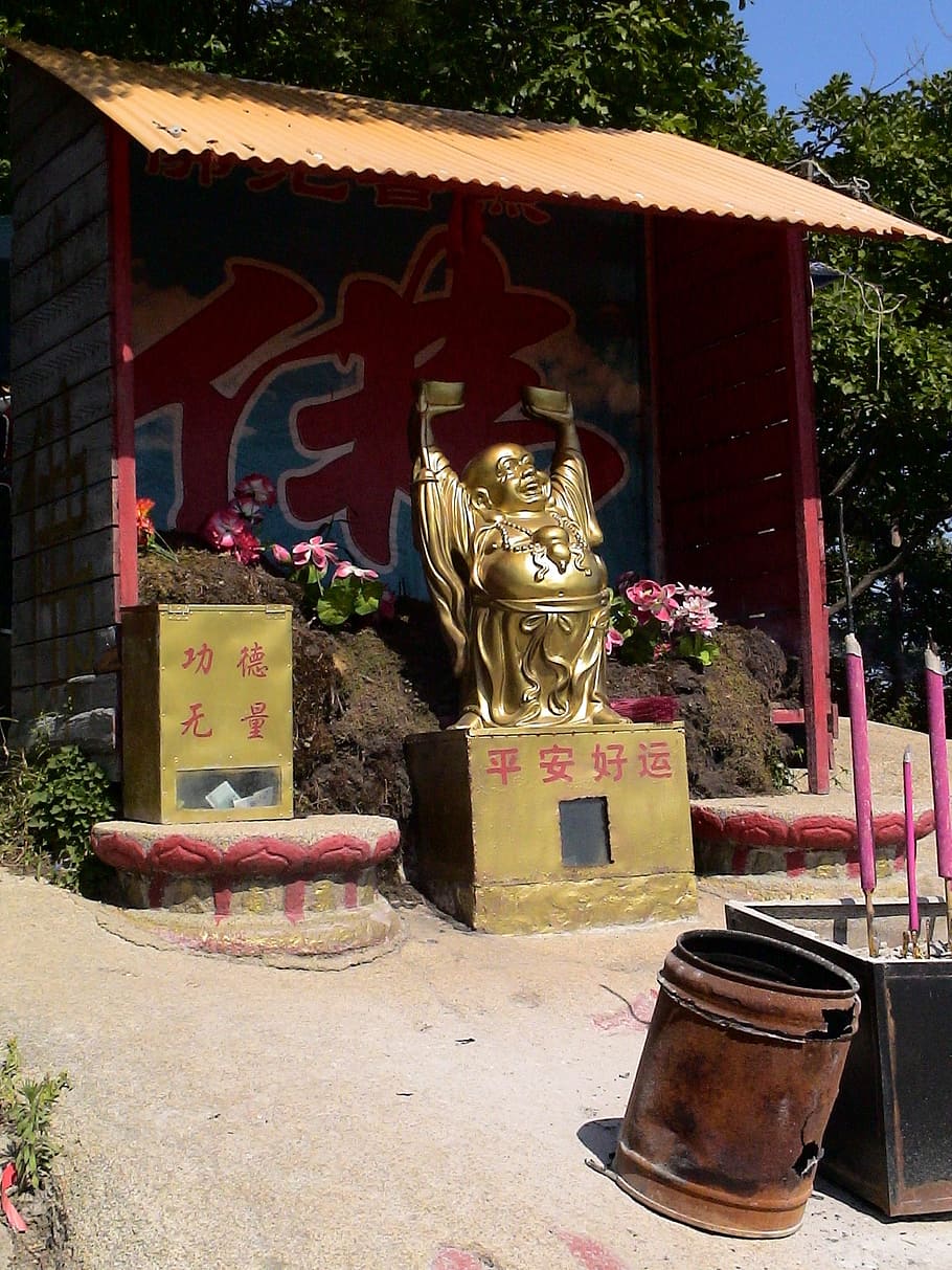 temple, buddah, statue, gold, china, fengcheng, house of prayer HD wallpaper