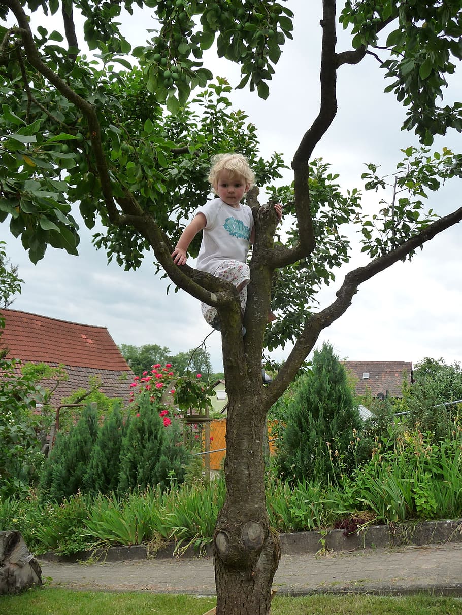 Child, Tree, Climb, Play, Garden, playground, nature, girl HD wallpaper