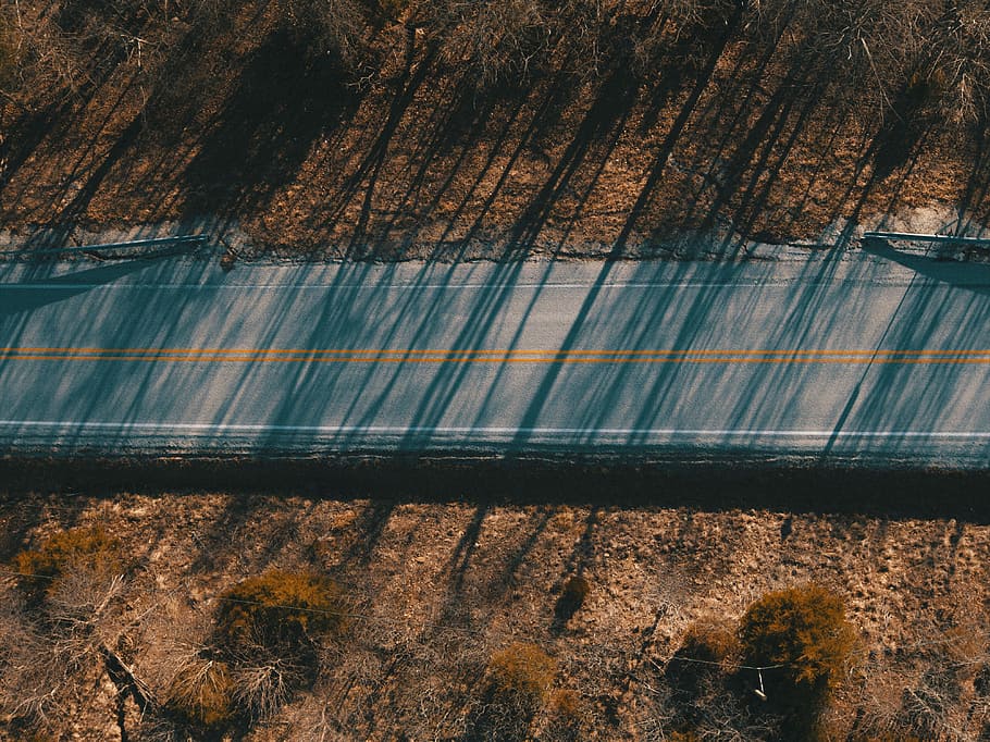 aerial photography of road, top view photo of empty roadway surrounded with wilted grass HD wallpaper